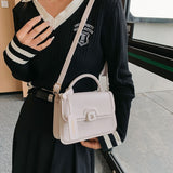 realaiot  Trendy Solid Color Crossbody Bag, All-Match Handbag, Small Flap Crossbody Square Bag