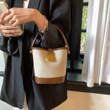 realaiot Mini Fashion Crossbody Bucket Bag, Trendy Shoulder Bag, Women's Casual Handbag & Tote Purse
