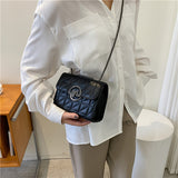 realaiot  Mini Fashion Quilted Crossbody Bag, Trendy Flap Shoulder Bag, Women's Casual Handbag & Purse