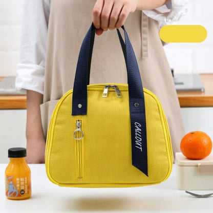 Realaiot Fashion Oxford Cloth Insulated Lunch Bag Portable Thermal Bento Boxes Cooler Bags Food Storage Container for School Picnic